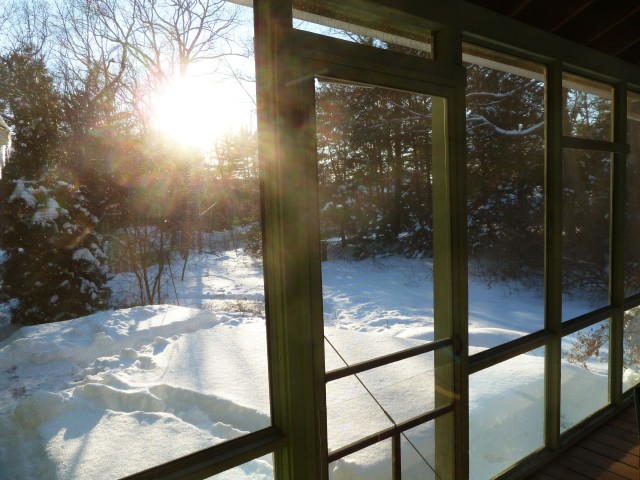 the winter sun is beautiful, reflecting off the snow on the ground and into the back porch windows.